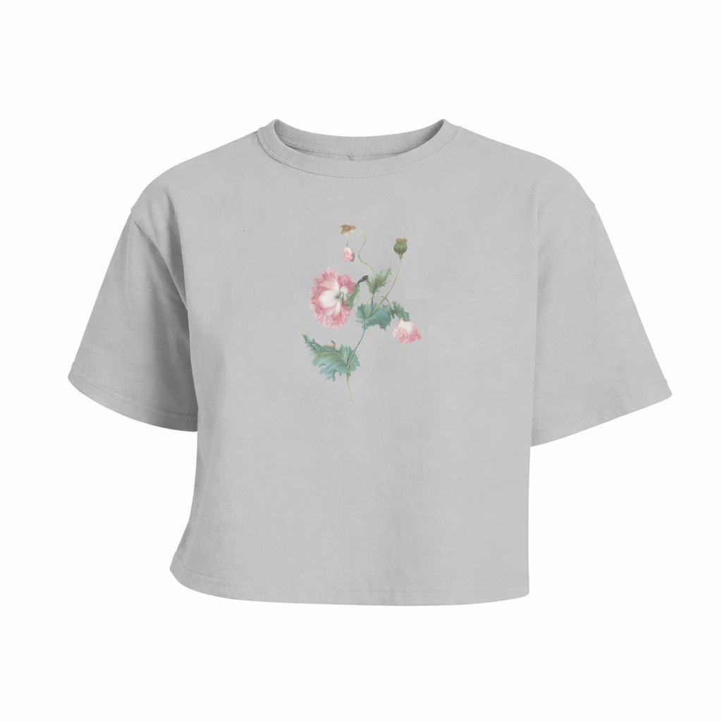 Spring Women's Boxy Cropped T-Shirt